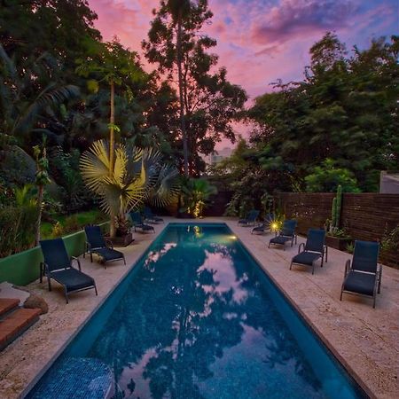 Hotel Nahua โปเตรโร ภายนอก รูปภาพ