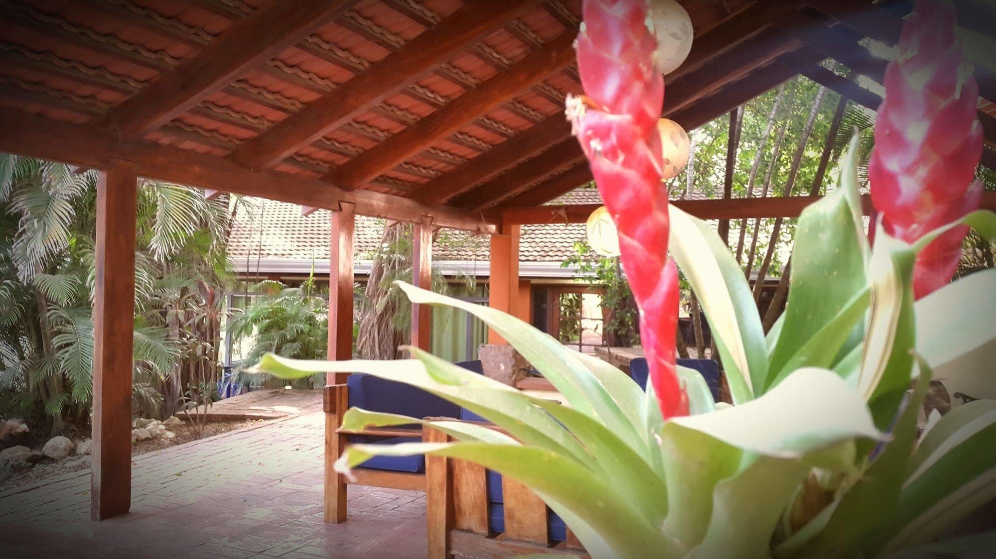 Hotel Nahua โปเตรโร ภายนอก รูปภาพ