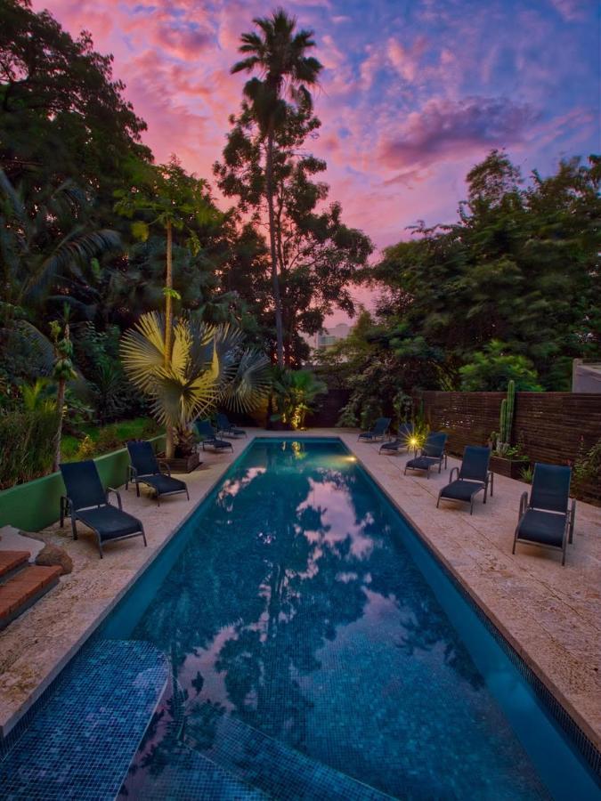 Hotel Nahua โปเตรโร ภายนอก รูปภาพ